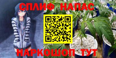 mdpv Камышлов