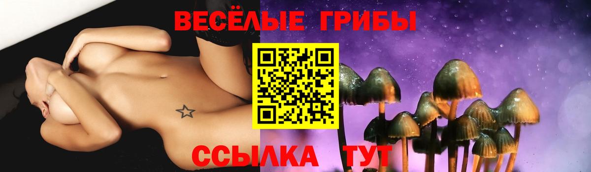 Галлюциногенные грибы мицелий Волхов
